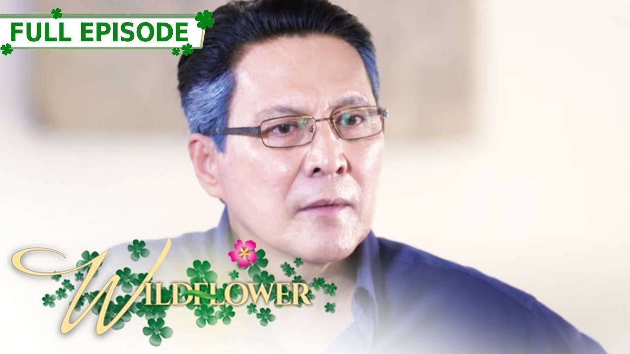 Full Episode 199 | Wildflower with ENG SUB | Maja Salvador, Joseph Marco, RK Bagatsing
