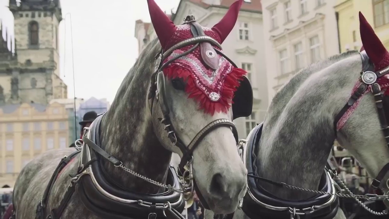 Helló Prága! Látnivalók Prágában!