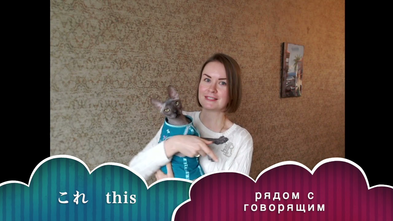 Японский язык: указательные местоимения kore, sore, are. JLPT5
