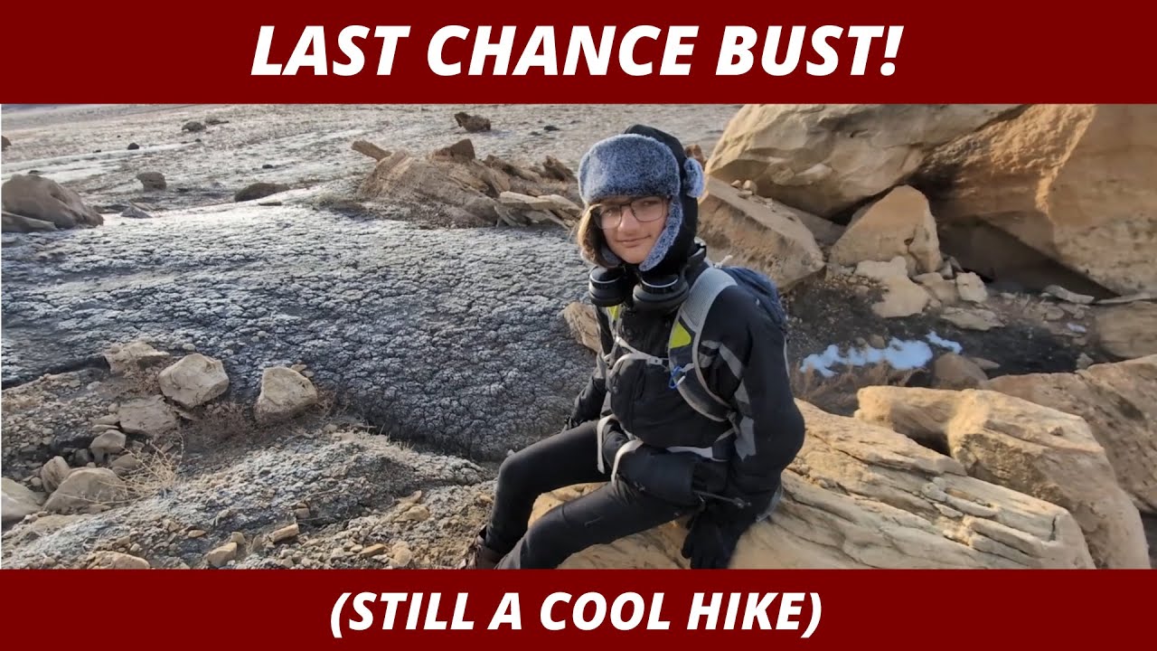 Last Chance Bust - Dec 29, 2024