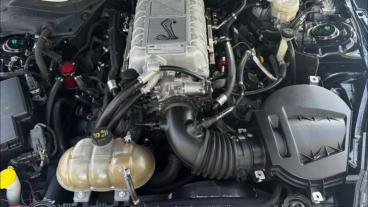 Gen 3 coyote predator blower swap