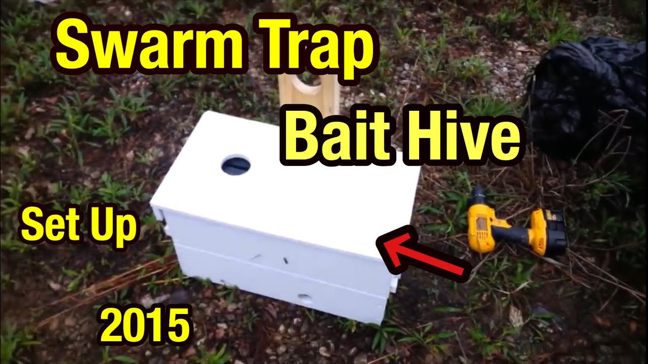Easy Swarm Trap Setup Anyone Can Try!
