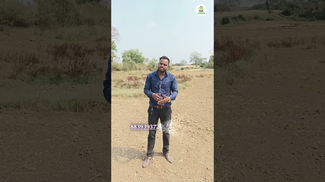 Agriculture Land For Sale Near Jabalpur #jabalpur #property #agricultureland #commercialproperty