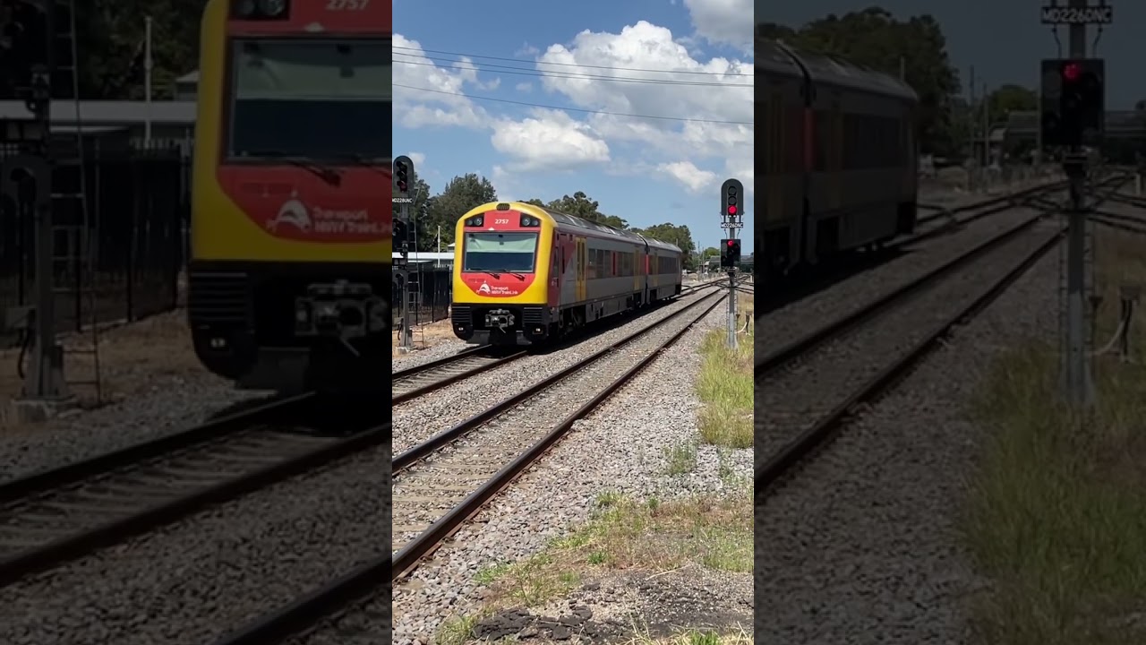 Hunter Railcar at Maitland! #sydneytrains #nswtrains #nswtrainlink #trains #railways #shorts
