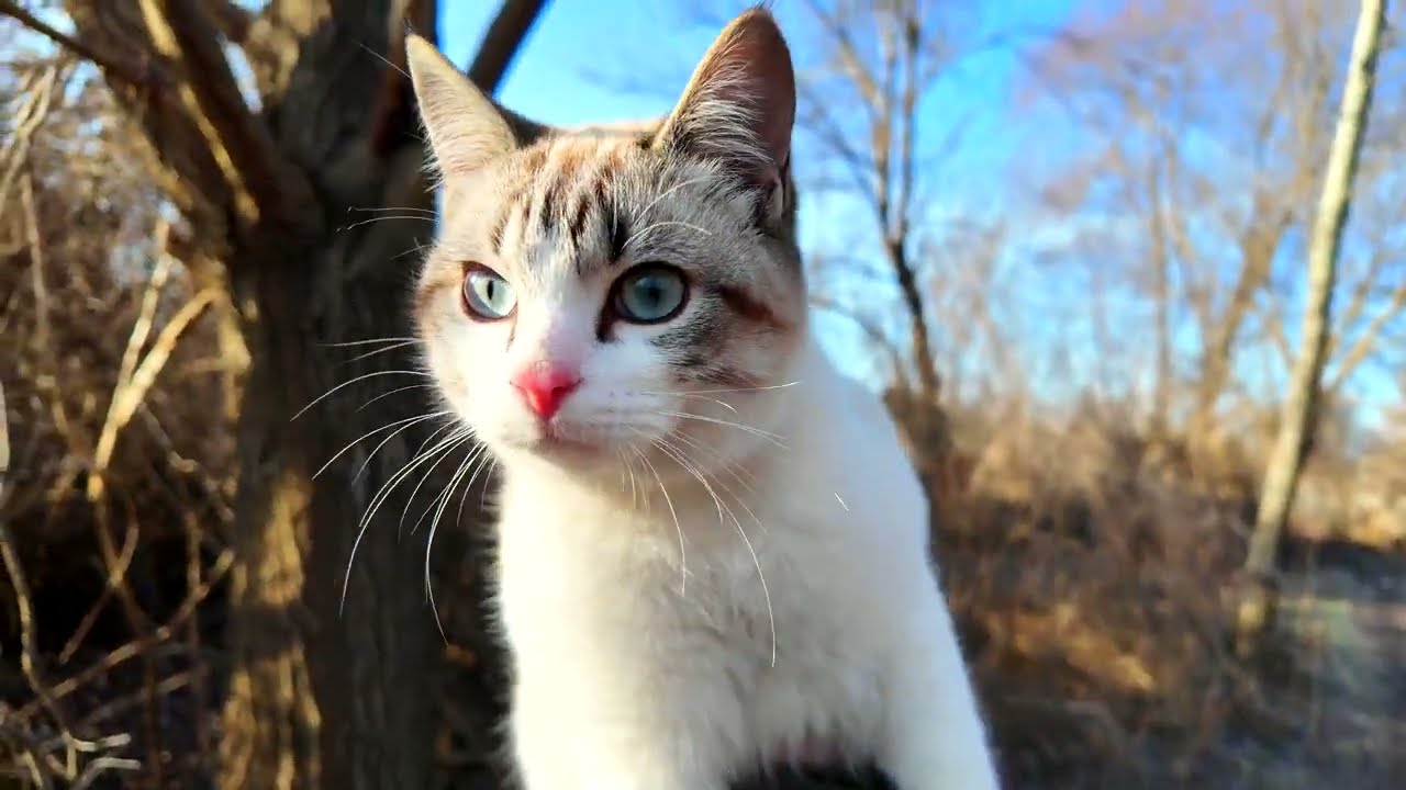 #Славянск. 2 марта 2026г. Утро.