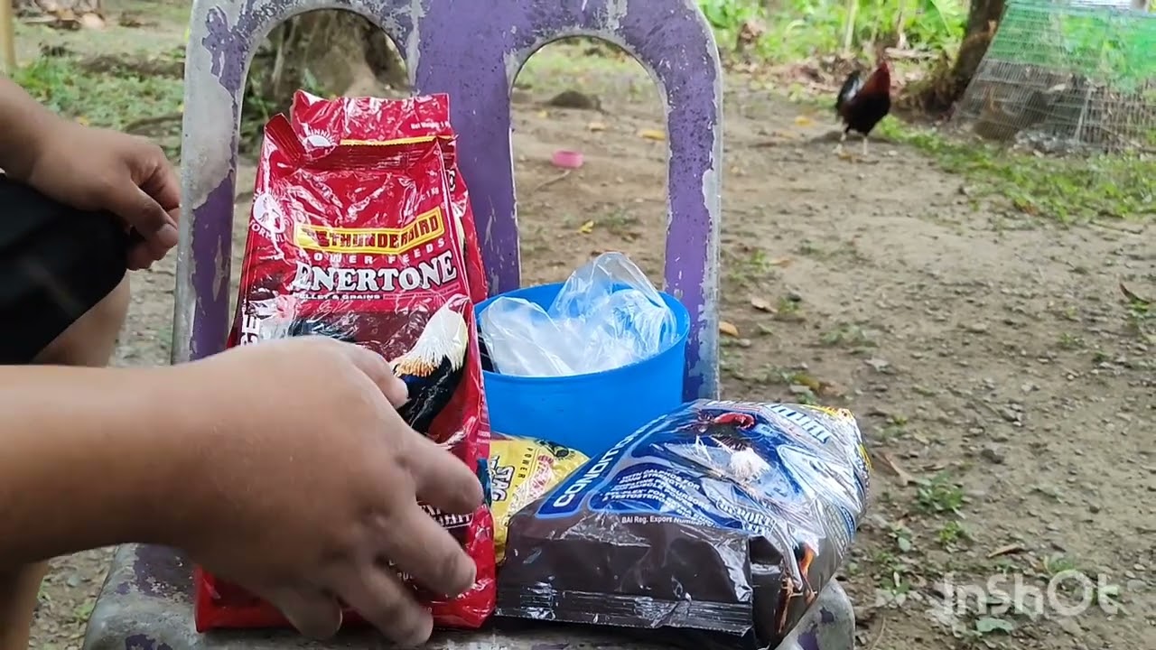 Tamang timpla ng maintenance feeds sa backyard manukan