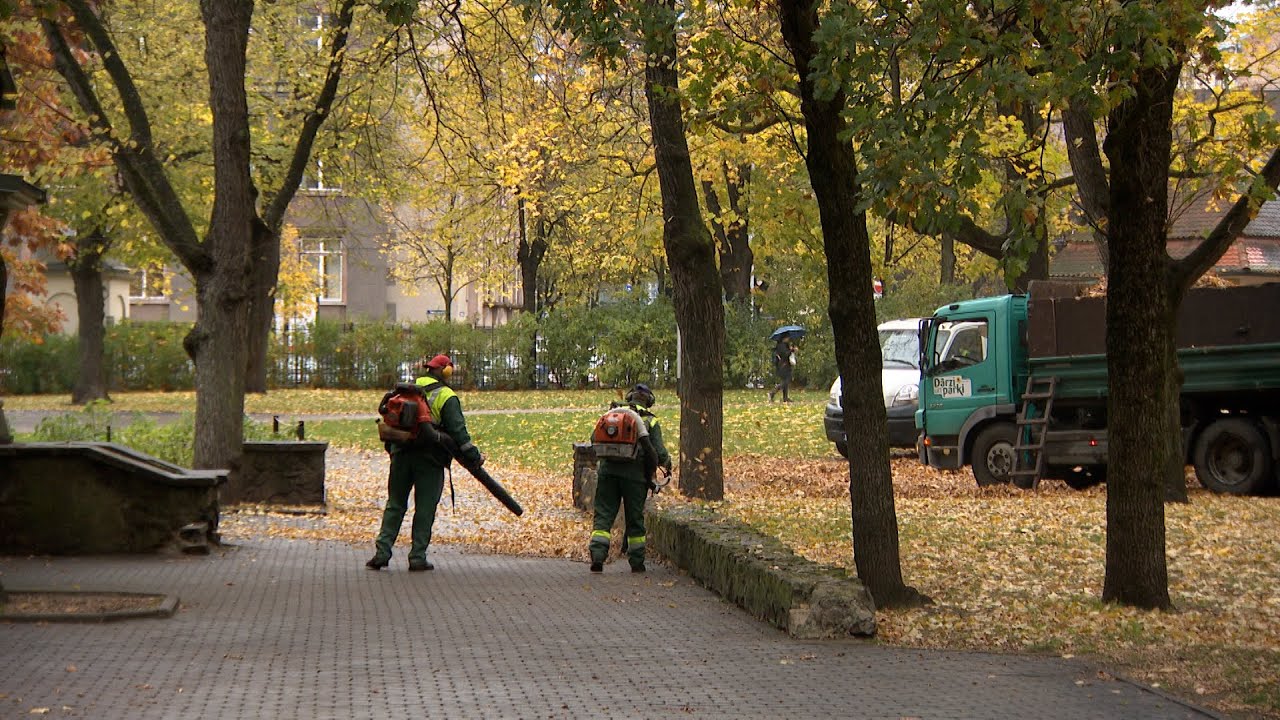 Kad ar pilnu jaudu visapkārt darbojas lapu pūtēji, skumstam pēc sētnieka ar grābekli...