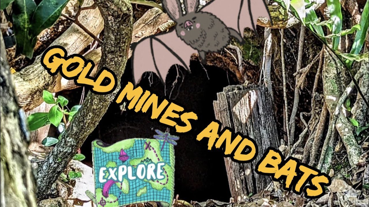 Abandoned goldmine bouldercombe gorge Central Queensland
