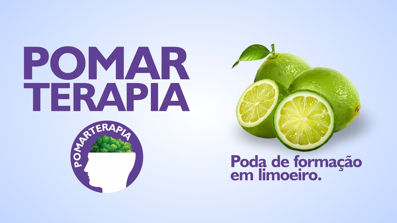 POMARTERAPIA - PODA DE FORMAÇÃO EM LIMOEIRO - (Visita Técnica - Campos)