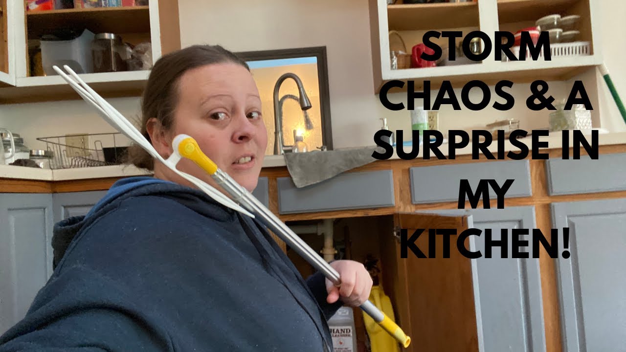 Storm Storytime: Frozen Pipes, Kitchen Chaos & a Surprise Visitor!