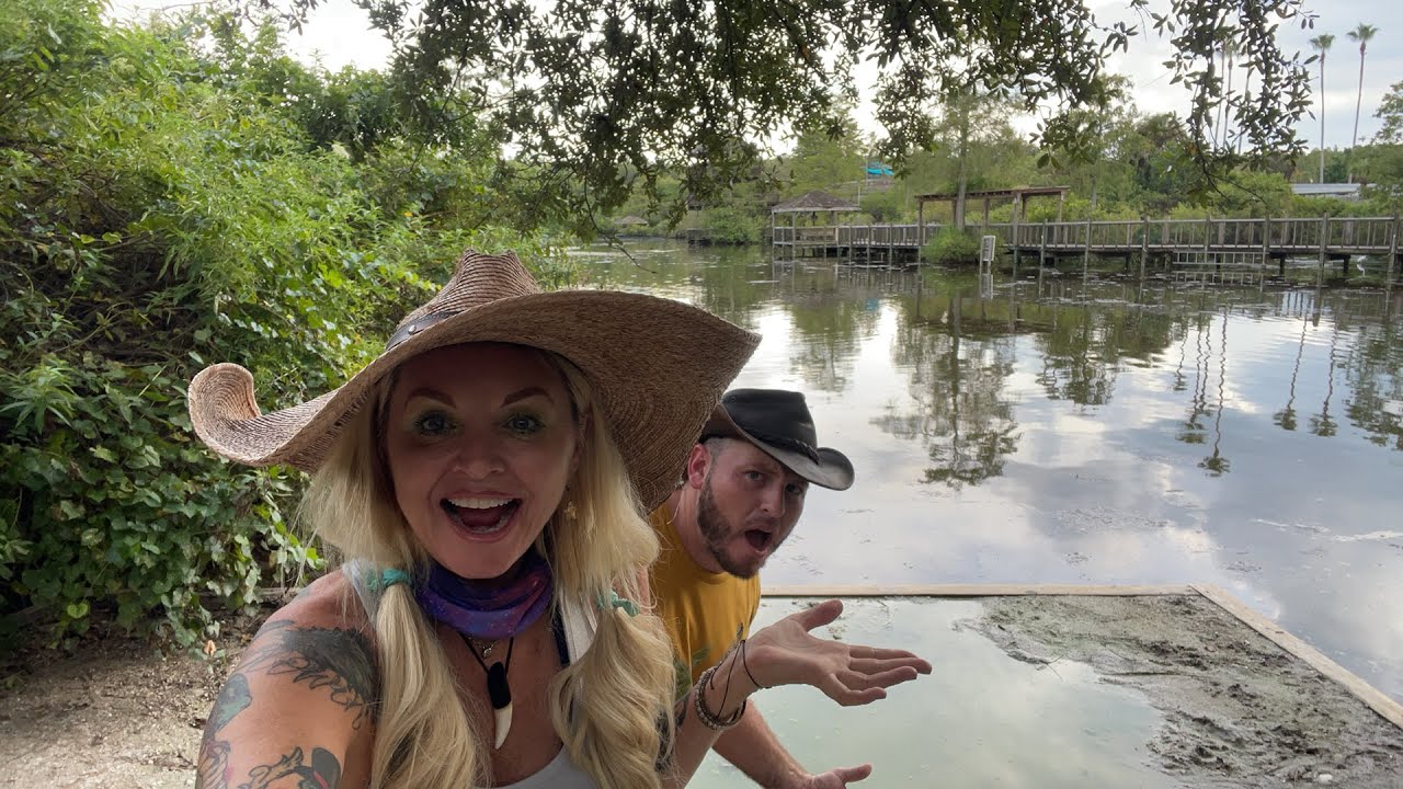 Biggest Gators in Town, But where are they⁉️⁉️⁉️⁉️⁉️⁉️