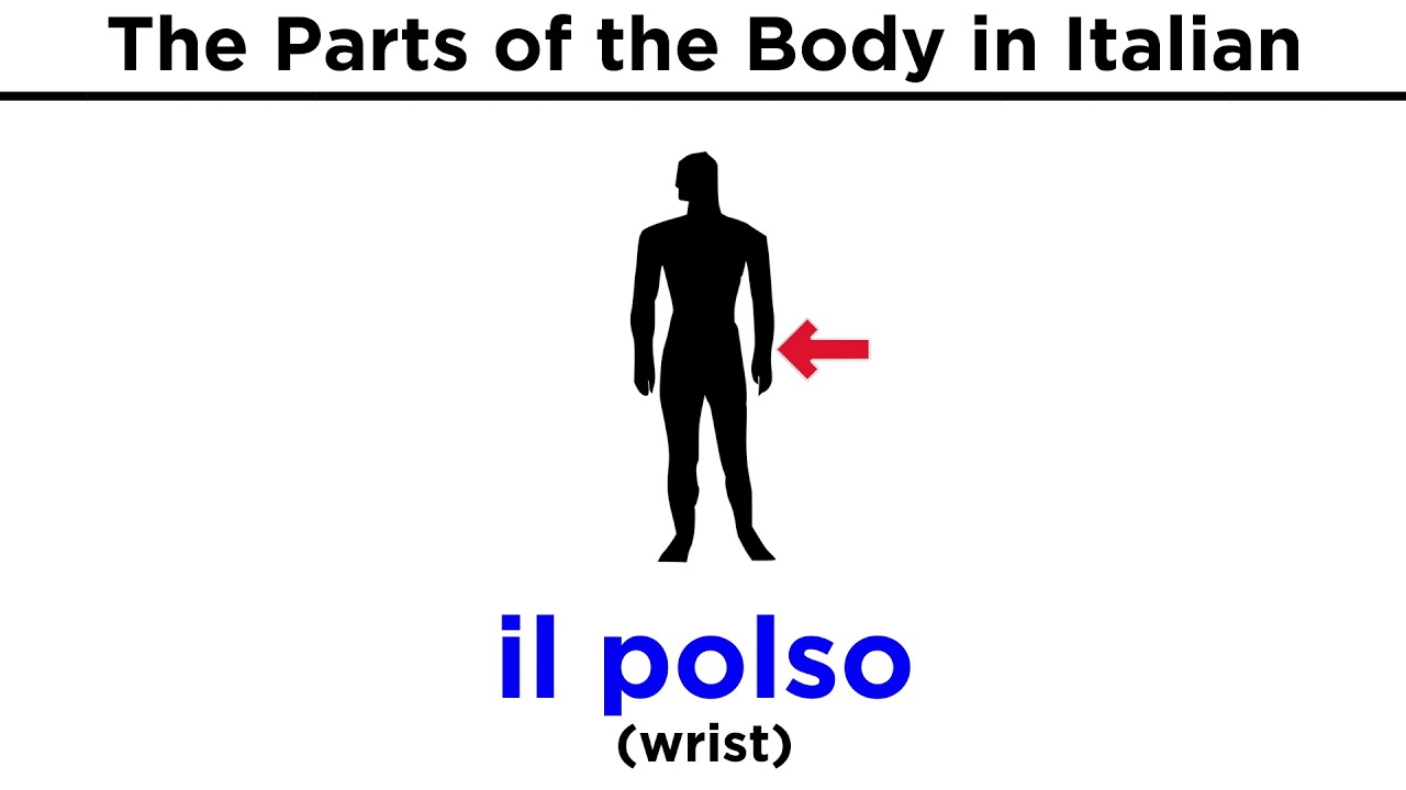 Italian Vocabulary: Parts of the Body