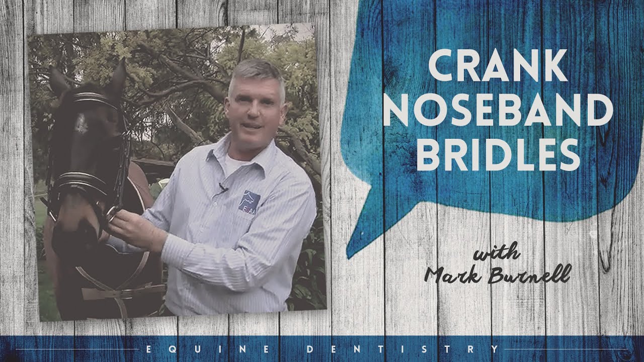Equine Dentistry | Crank Noseband Bridles Explained with Equine Dentist Mark Burnell | Horseland