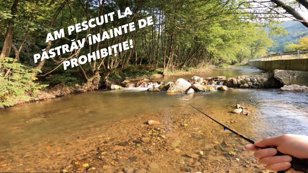 Păstrăvii de la sfârșit de sezon. O partidă faină!