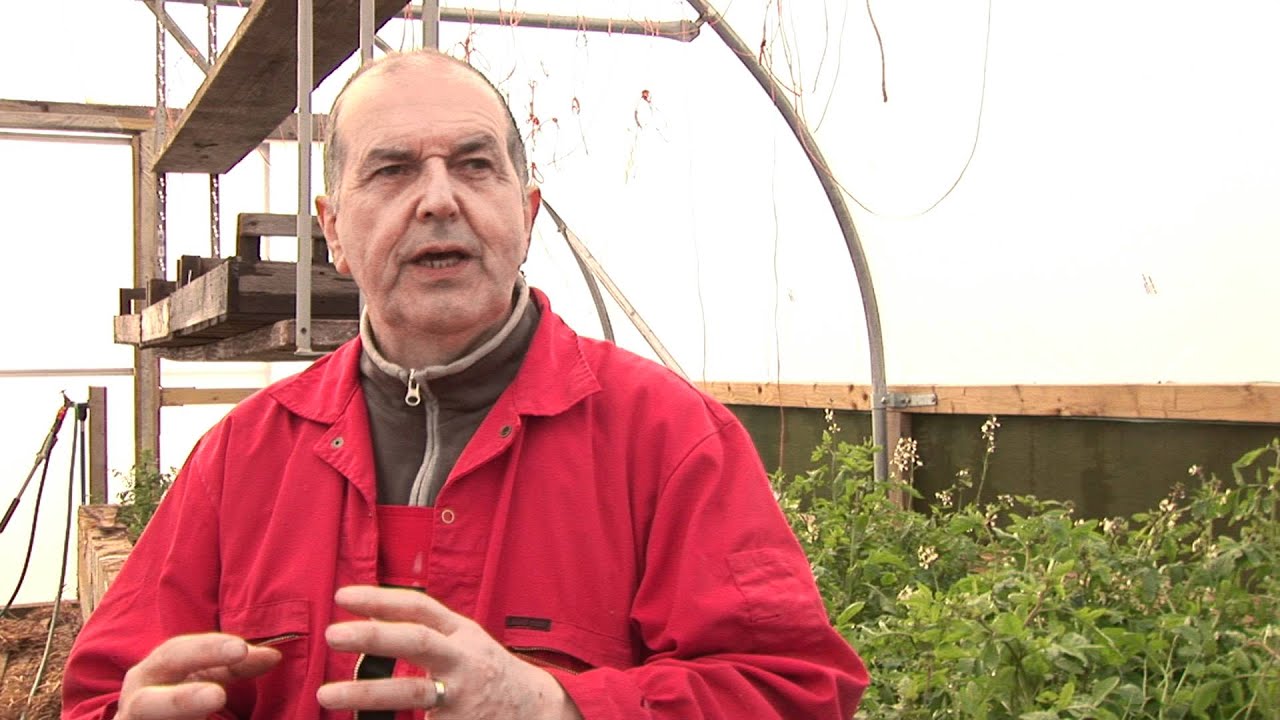 Friends of the Earth - Welsh farmer speaks out on organic practices and GM