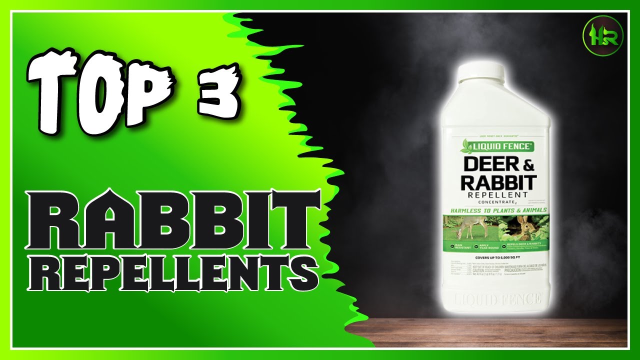 Best Rabbit Repellents To Buys
