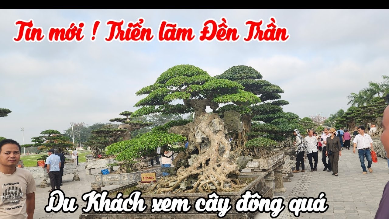 Triển lãm Cây cảnh lễ hội khai ấn đền Trần Nam định 2026