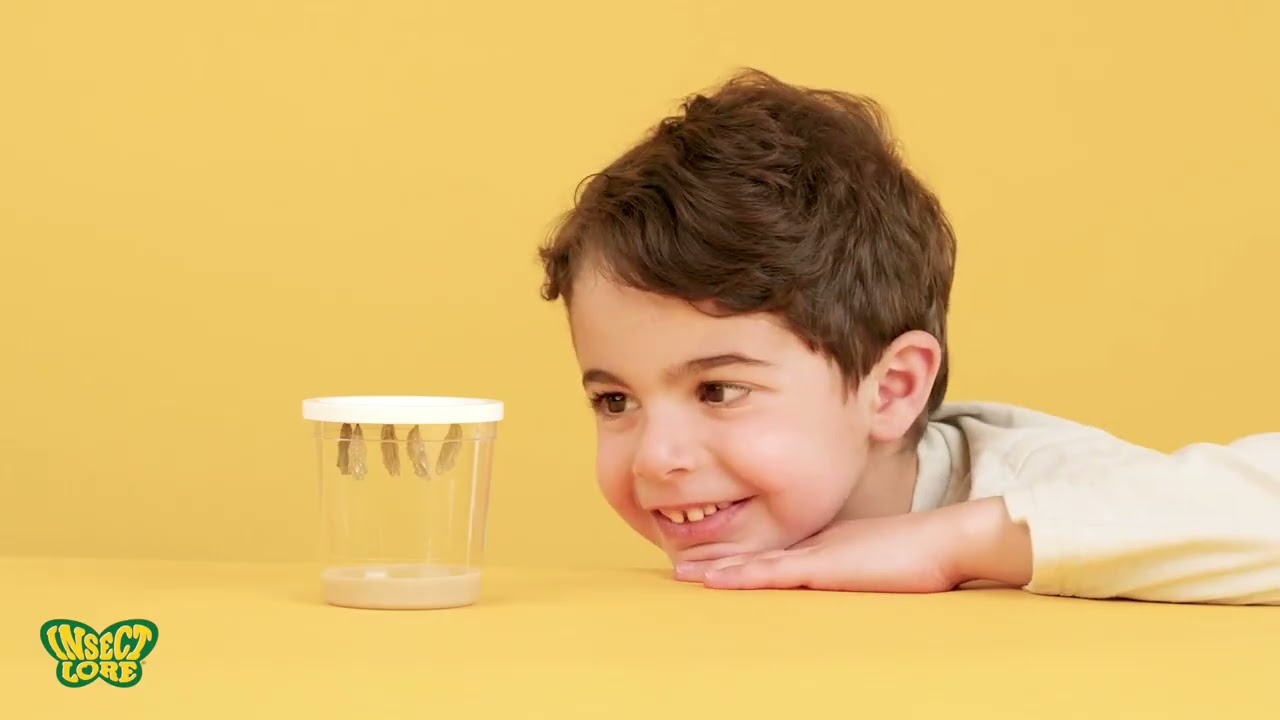 Insect Lore: Endorsement from Dr. Amanda Gummer