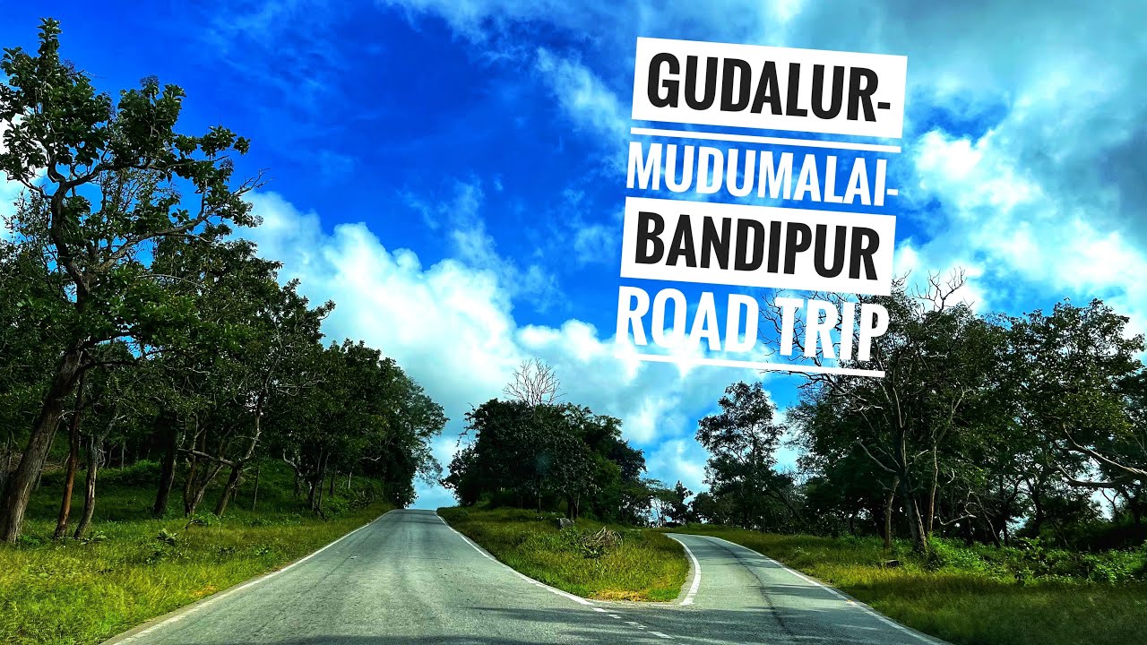 Safari on your own car Mudumalai and Bandipur National Parks|Bad roads-Gudalur-Mudumalai Tamilnadu