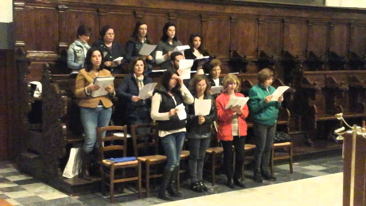 Come il cervo va