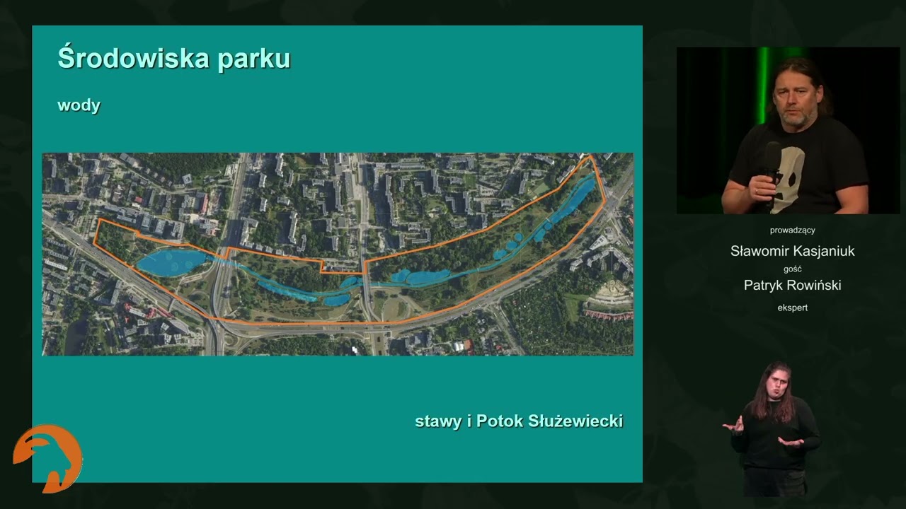 Ptaki parku Dolinka Służewska – wyniki ostatniej inwentaryzacji