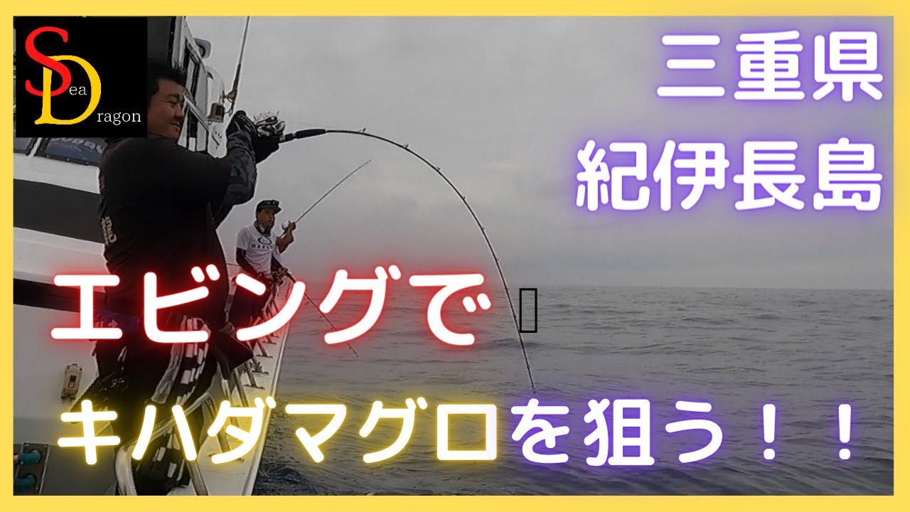 三重県　紀伊長島でエビングでキハダマグを狙う！！