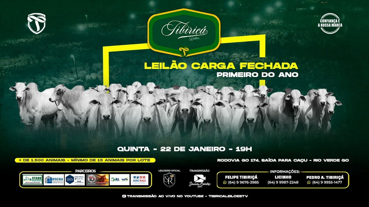 🔴AO VIVO⭐LEILÃO CARGA FECHADA 22/01/2026 - TIBIRIÇÁ LEILÕES 🐂🐂🐂