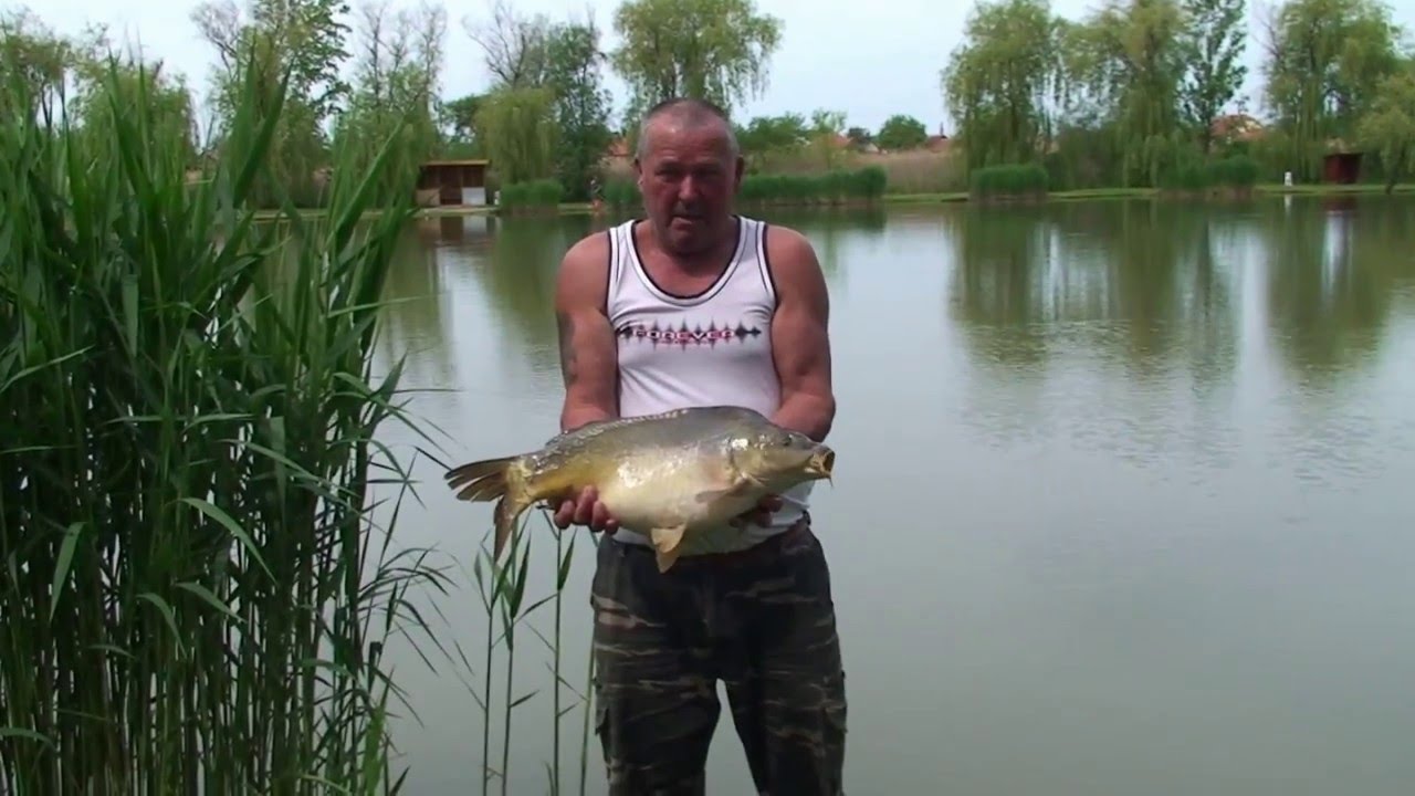Feederverseny 2015. Jászárokszállás