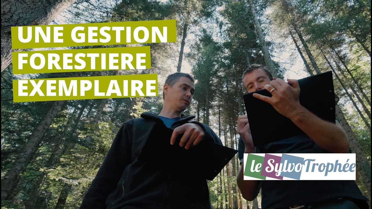 Sylvotrophée 2023 - Parcs du Massif des Bauges et de Chartreuse
