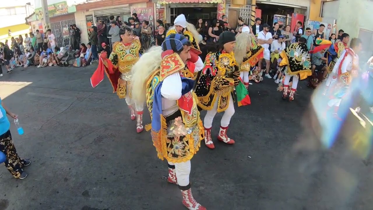 proyecion andina diablos
