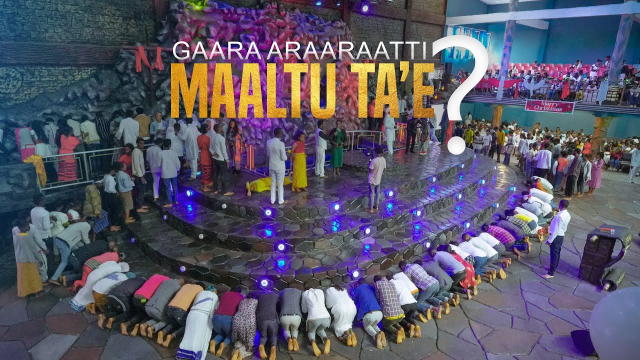 Gaara Araaraatti  Maaltu Ta'e?   ||  Raajii Masarat Taayyee || @araratvworldwide