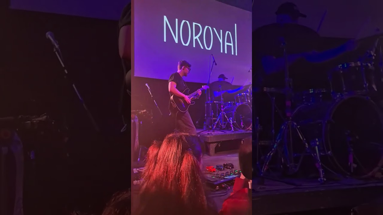 noroyal - полутона (live)