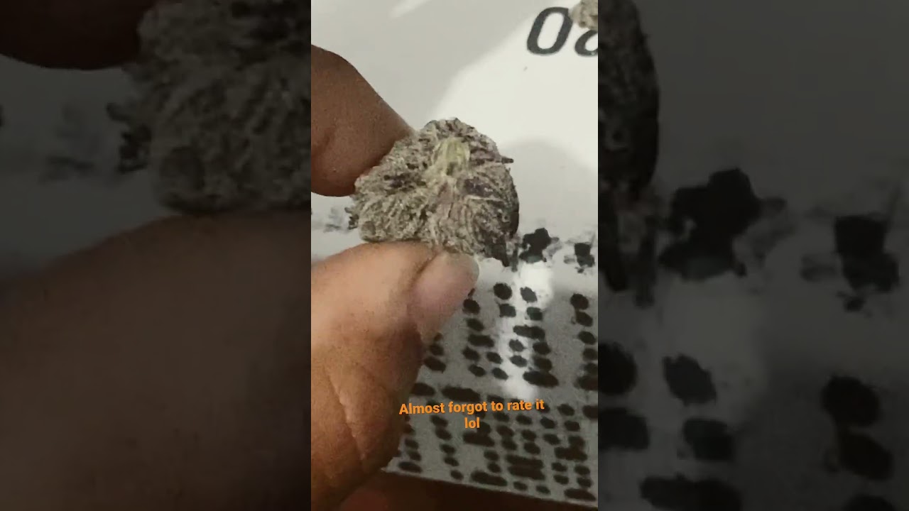Connected weed review:Da Frost Runtz
