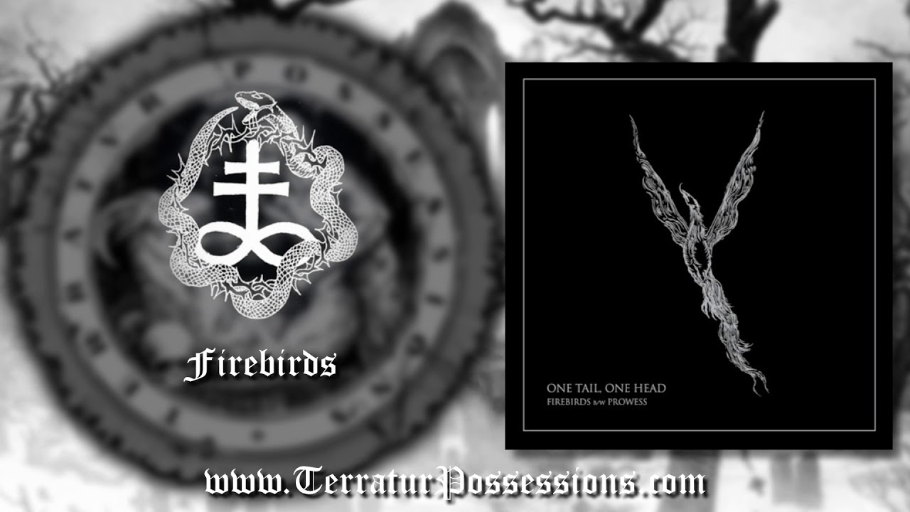 One Tail, One Head - Firebirds