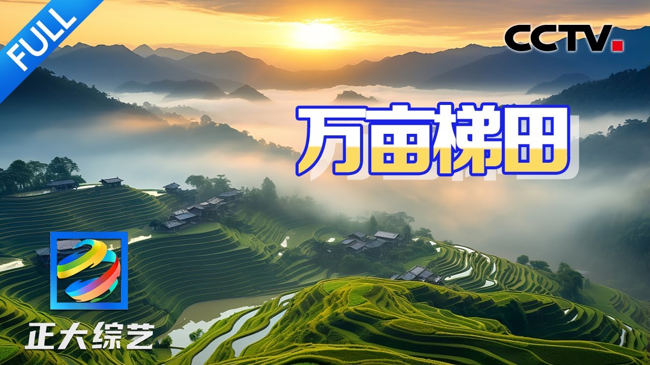 【Full】万亩梯田壮丽如画！走进云南临安镇，品陶中美食“汽锅三宝”、看上亿只蝴蝶集中羽化奇观 | CCTV「正大综艺」20240707