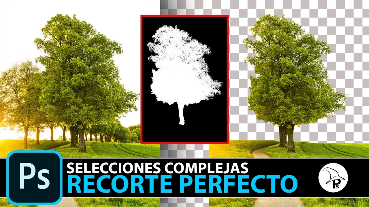 Selecciones complejas en Photoshop ¡HAZ EL RECORTE PERFECTO!