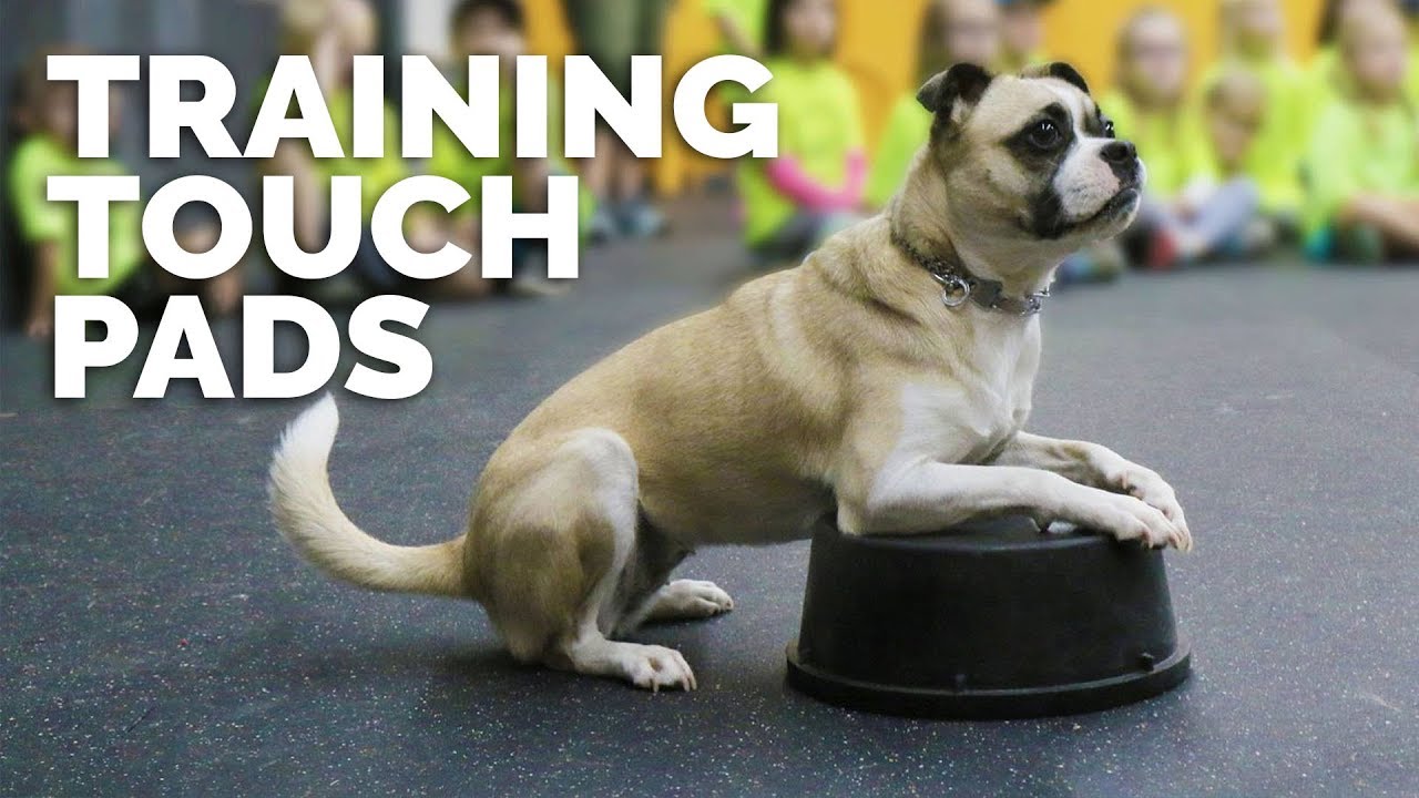 Training Touch Pads with Michael Ellis