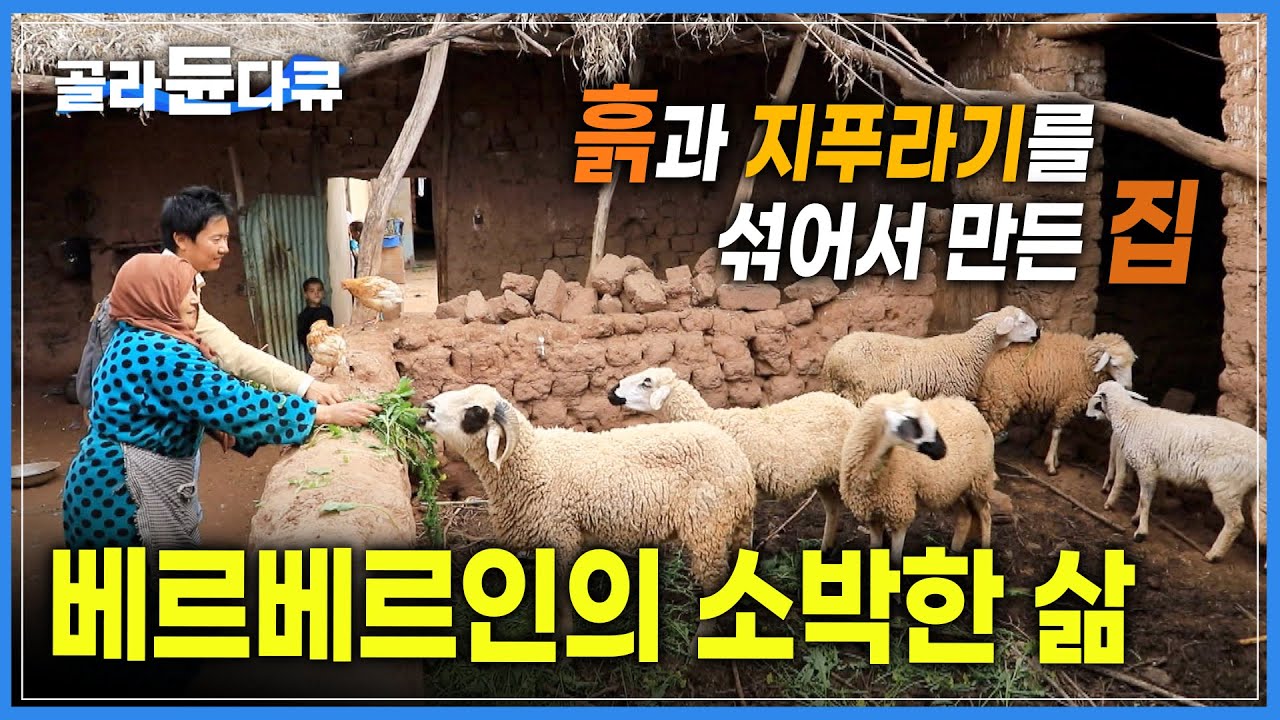 북아프리카 고대 유목민 베르베르인의 일상 | 흙과 지푸라기를 섞어서 만든 커다란 집에서 가축들과 유유자적 | 모로코 전통요리 '타진' | 세계테마기행 | #골라듄다큐