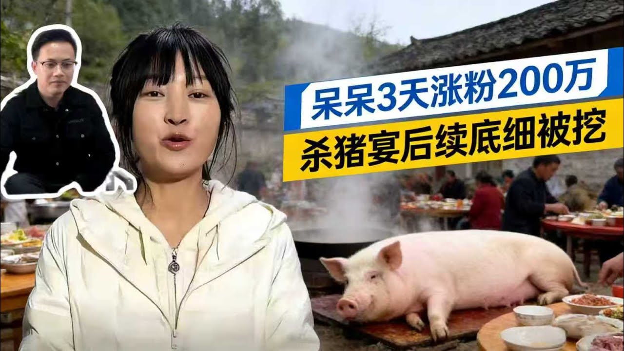 杀年猪女孩“呆呆”3天涨粉200万，杀猪宴后续：呆呆“底细”被挖，担忧一幕发生，官方连夜下场，村委称无剧本，爆火前其一家人很普通！#呆呆#杀年猪女孩