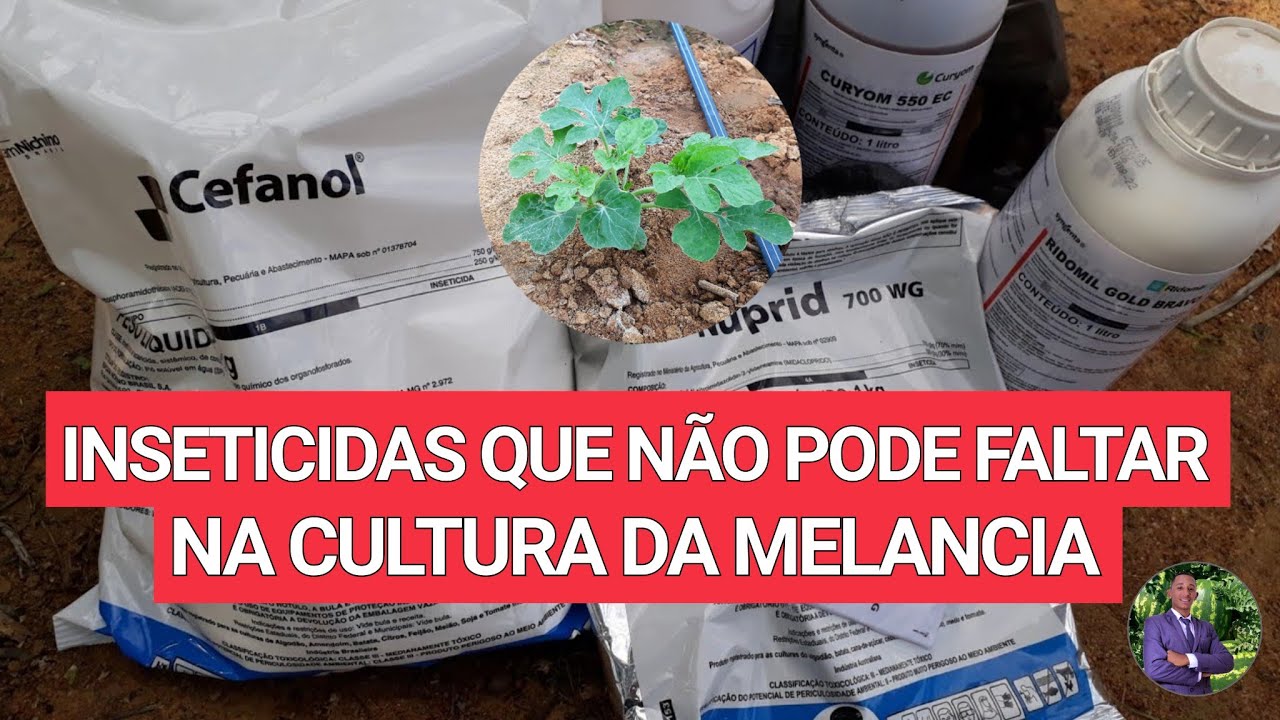 Inseticidas que não pode falta para melancia