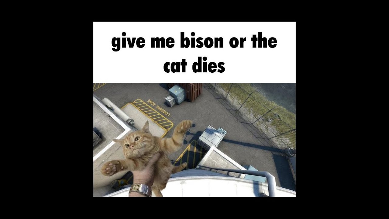 bison arma 3 | old clip dump