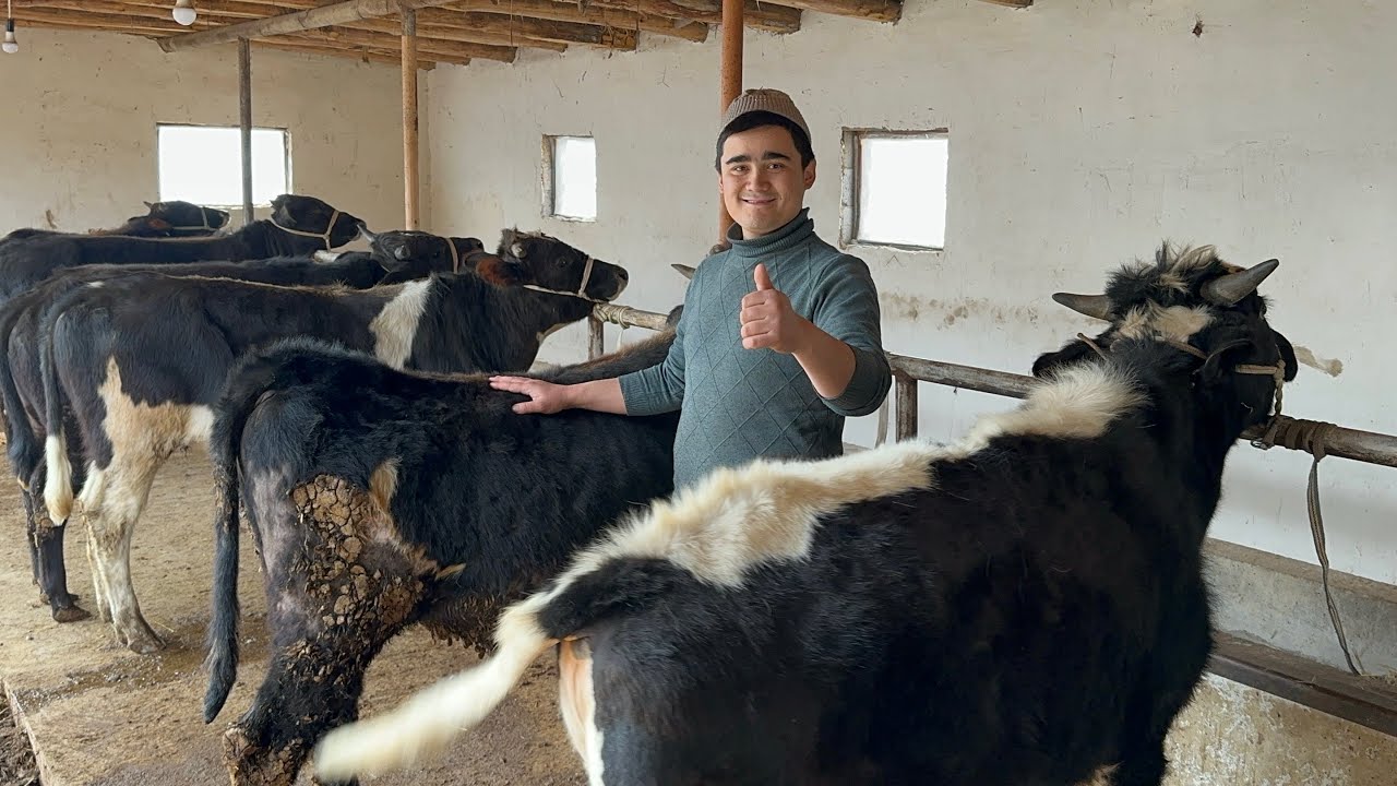 USMONJON UKAMIZGA 18000   MILLIONDAN ARZONLARI KELDI SHOSHILAMIZ SONI CHEKLANGAN 