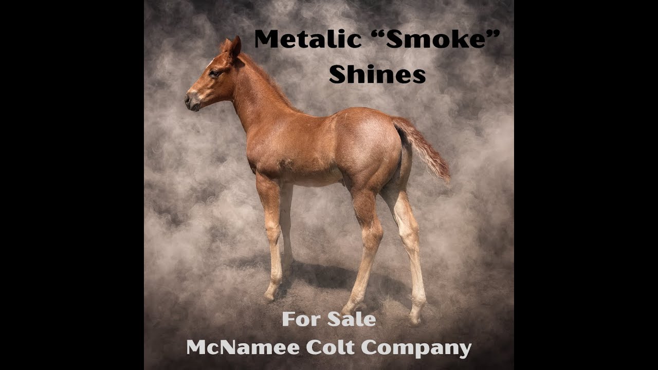 Представляем Smoke-Продаётся @McNameecolts