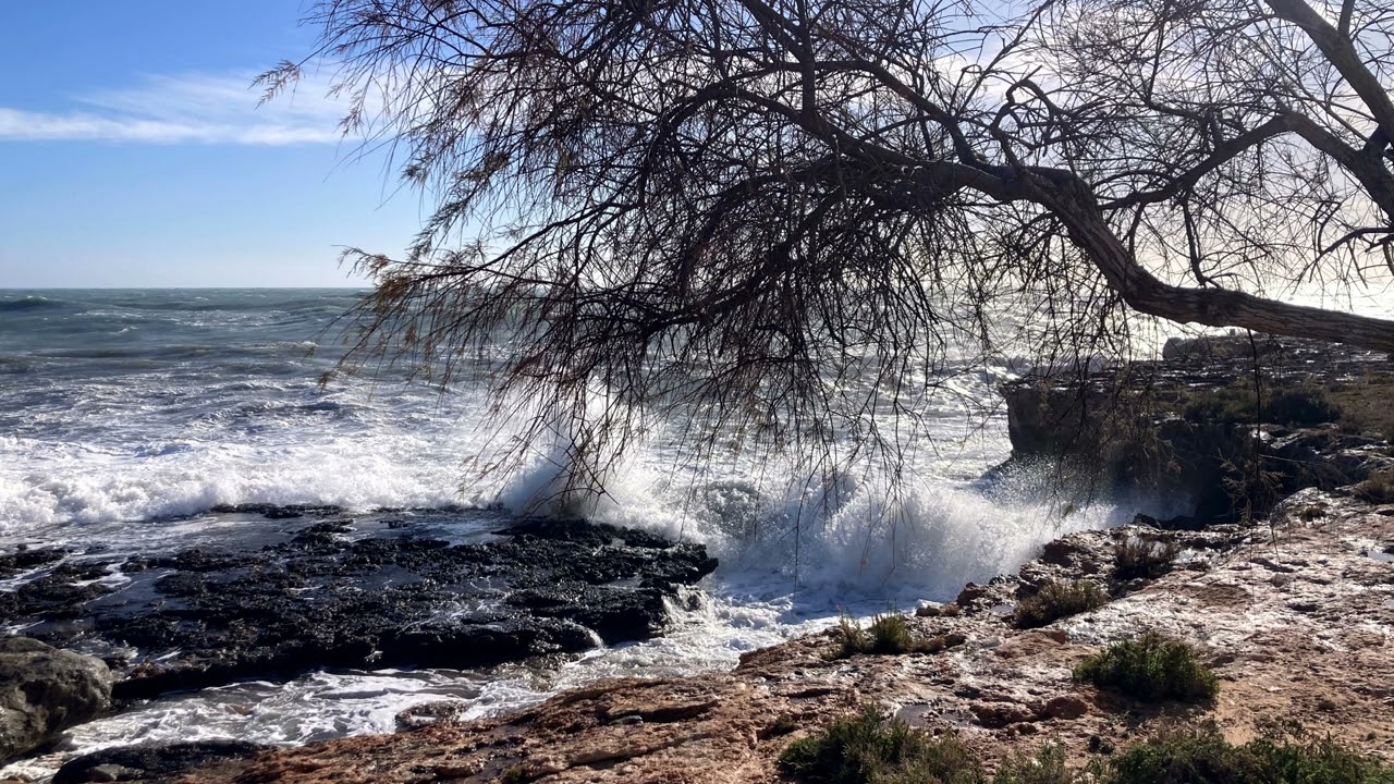 Colonia de Sant Jordi 2026 02 12
