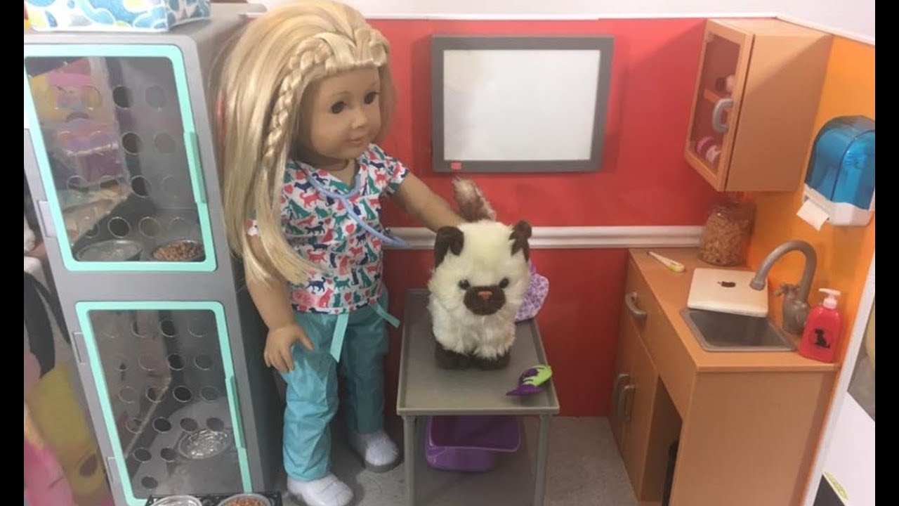 Our Generation Vet Clinic and Vet Outfit Review! BEST DOLL CHRISTMAS GIFT 2017! So many accessories!