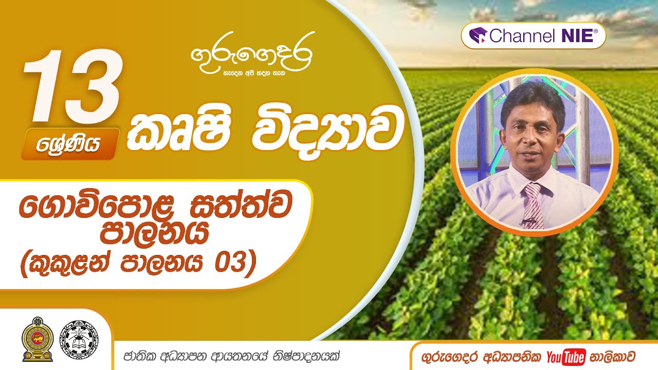 ගොවිපොළ සත්ත්ව පාලනය ( කුකුළන් පාලනය 03 ) - Lesson 31-A/L  Agriculture (කෘෂි විද්‍යාව)