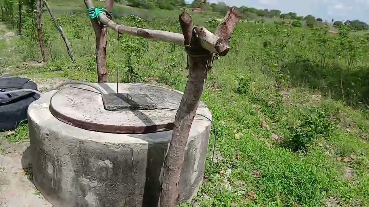 Mas um vídeo mostrando uma plantação de maracujá aqui no sítio cajueiro Lagoa salgada RN 