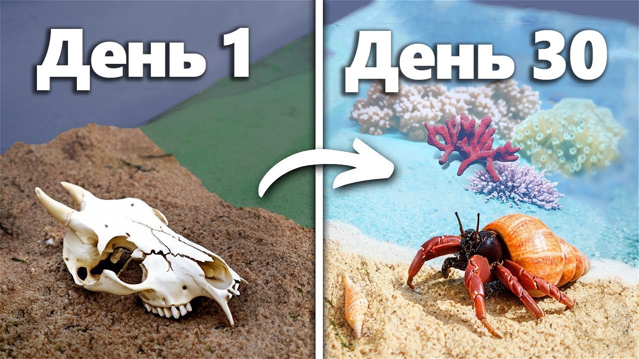Симуляция Пляжа В Течение 30 Дней