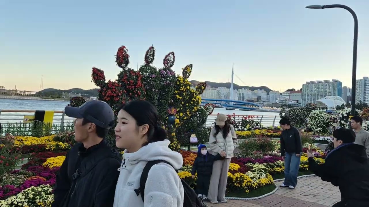 2025 마산국화축제