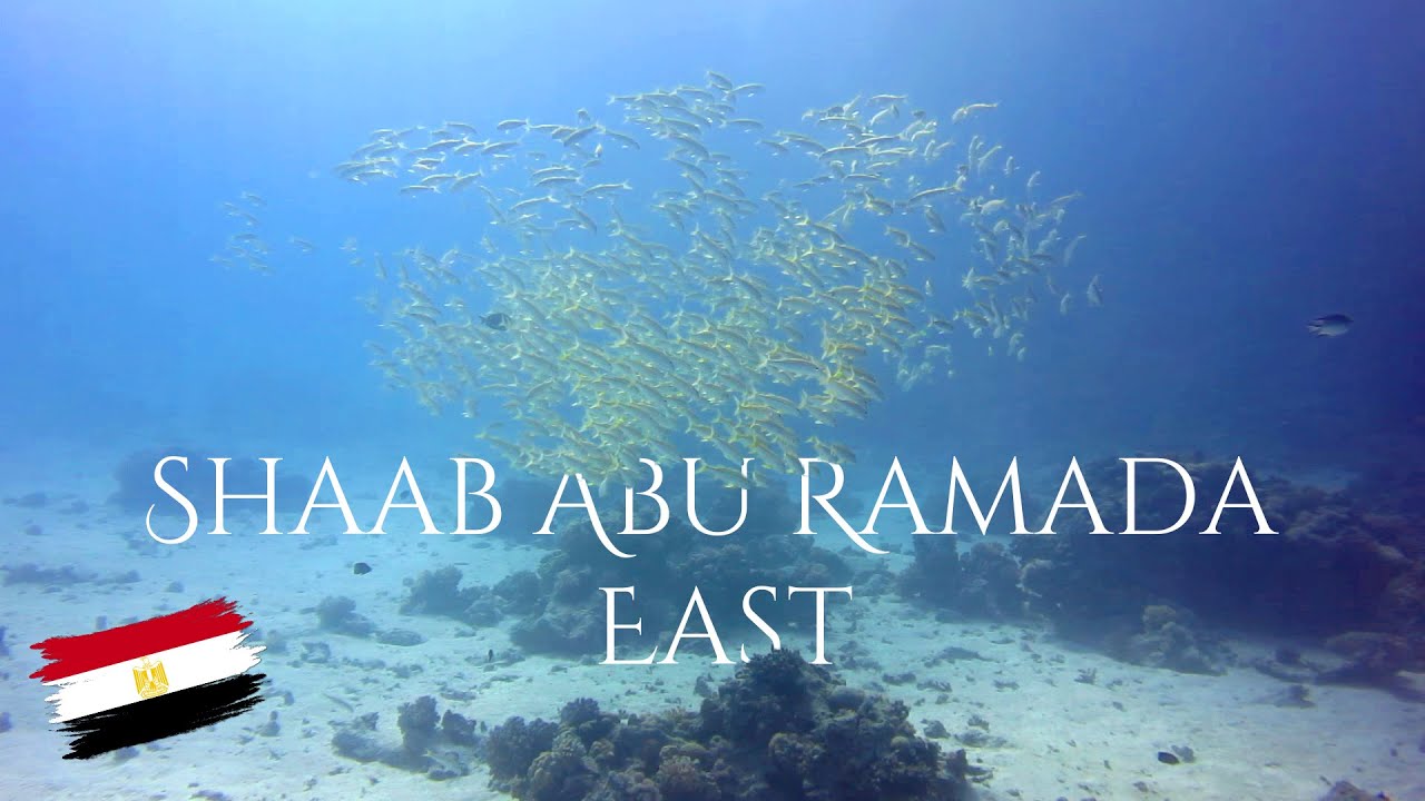 Diving Famous Shaab Abu Ramada East Reef - Hurghada - Egypt